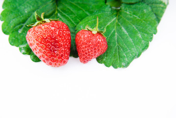strawberry on white background