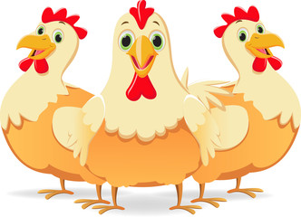 cute three cartoon hen 