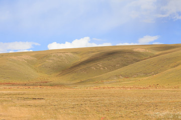 Fototapeta na wymiar prairie with blue sky