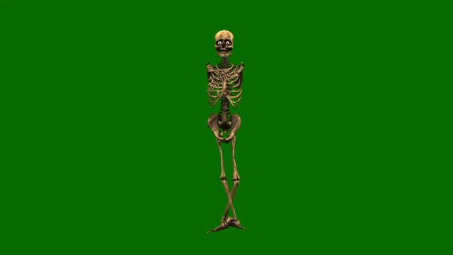 Skeleton dancing ballet on green background, skeleton isolated on green screen