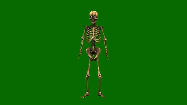 Skeleton break dancing on green background, hip hop dancing skeleton isolated on green screen