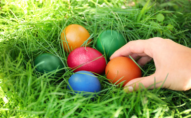 Woman hand taking Easter eggs from green grass