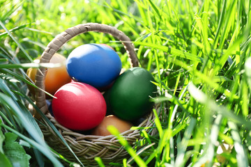 Easter eggs in basket on green grass