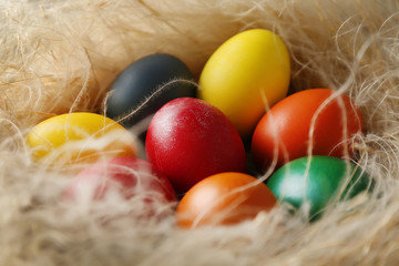 Easter eggs  in nest, closeup