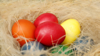 Easter eggs  in nest, closeup