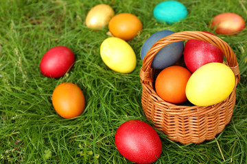 Fototapeta na wymiar Easter eggs in basket on green grass