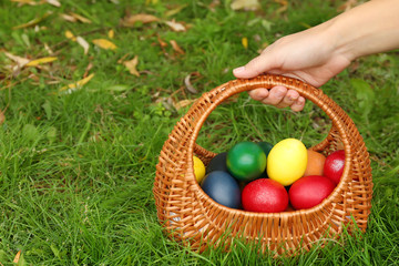 Fototapeta na wymiar Woman hand holding Easter eggs in basket on green grass