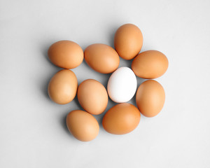 Group of eggs on light background