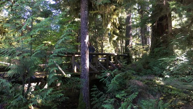 Hiker walking on wooden foot bridge Sahalie Falls Trail Oregon