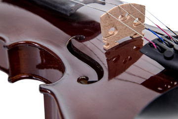 Parth of wooden brown viola