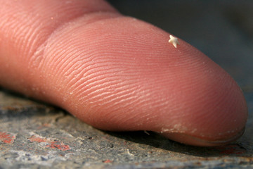 Star Sand - Taketomi Island , Okinawa, Japan