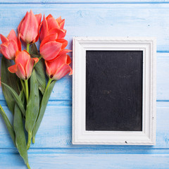 Empty blackboard and  fresh coral tulips on blue painted wooden