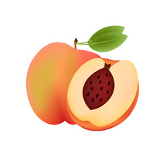 Realistic peach fruit with leaf and slice peach isolated on white background. Vector illustration. Sweet fruit