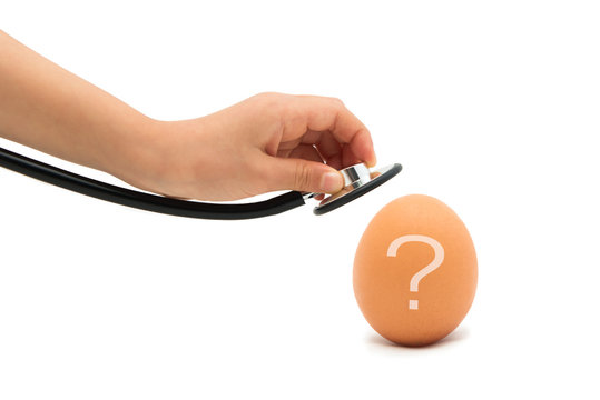 Checking For A Healthy Egg, Egg with Stethoscope with white back