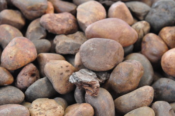 Fototapeta na wymiar Pile of rocks for decoration in a planter