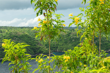 Tropical island landscape, Nusa Lembongan, Indonesia. Clear sunny day, HDR photo.