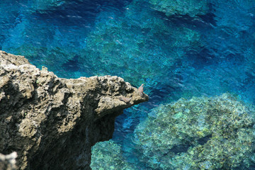 Coral Reef - Yonaguni Island, Okinawa, Japan
