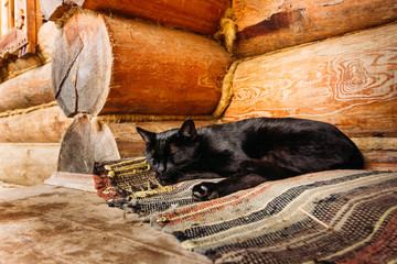 Black cat sleeps against the wall of the wooden house
