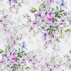 Fototapety  Wzór dzikich kwiatów, akwarela obraz na kolorowym tle