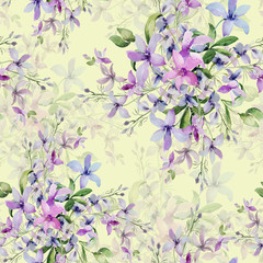 Seamless Pattern of wild flowers, watercolor  image  on a colored background