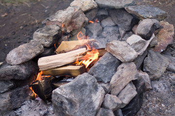 Obraz premium bonfire