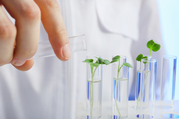 Female hand pouring water into test tube with plant