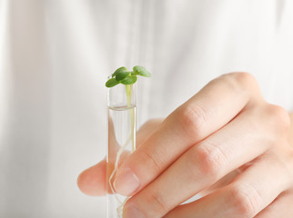 Female hand holding test tube with plant