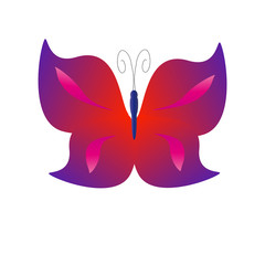 beautiful butterflies, isolated on a white