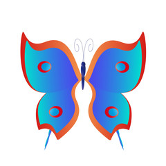 beautiful butterflies, isolated on a white