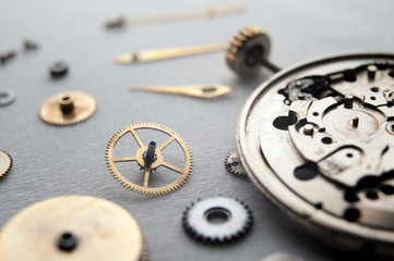 Detail of watch machinery on the table.