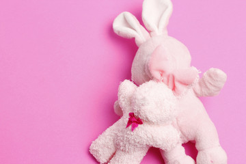 pink bear and rabbit doll isolated on pink background.