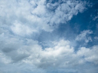 Background of the white cumulus in the sky. Picture of the white cloudy sky.