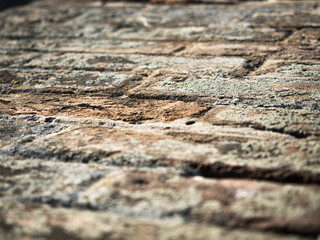 Close up on an old brick wall texture, focus on the middle of the wall. Background of the old...