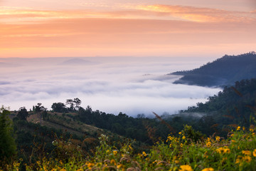 Fototapeta na wymiar Sunrise and sea of clouds over Pai District Mae Hong Son, THAILAND. View from Yun Lai Viewpoint is located about 5 km to the West of Pai town centre above the Chinese Village.