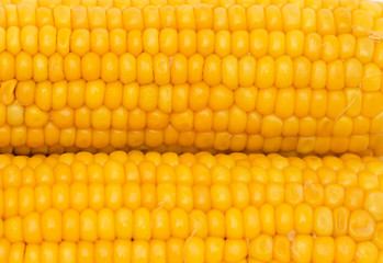 yellow boiled corn