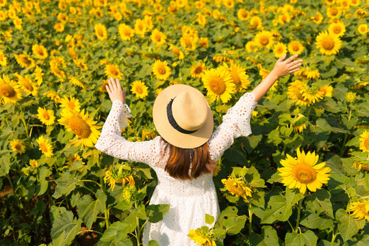 Tourist is travel into Sunflower field.