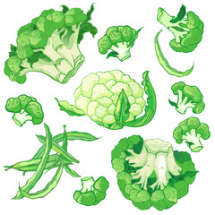 Vector vegetables set with broccoli, green string beans and caul