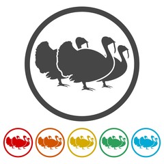 Turkey silhouette icon 