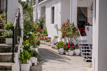 Fototapeta na wymiar Impressions from Crete in Summer