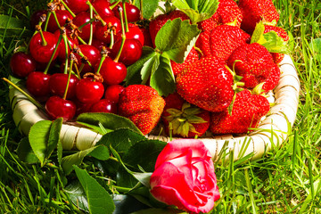 Fototapete bei efototapeten.de bestellen   