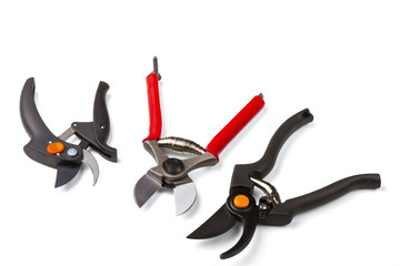 garden secateurs