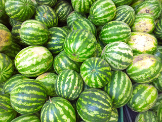 Watermelons on the market.