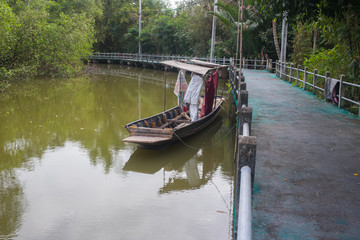 Fototapeta premium trees near the river
