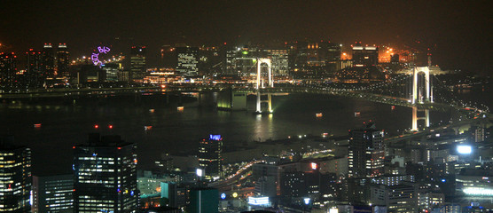 Fototapeta na wymiar Cityscape, Tokyo Capital City, Japan