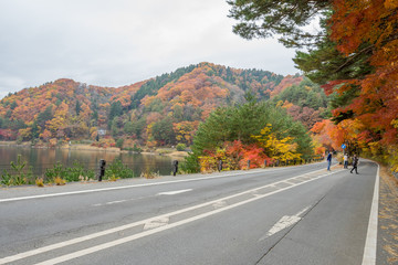 road with red yellow and green colorful maple at Kawaguchiko Japan