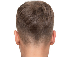 Fototapeta premium baby clipper on a white background