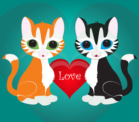 Valentine's cat card