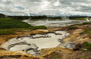 Hydrothermal field in the Uzon Caldera. Kronotsky Nature Reserve