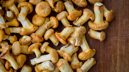 Chanterelles