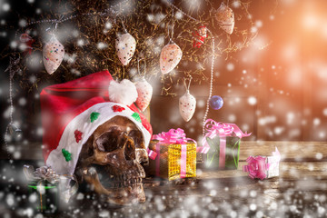 Still Life with human Skull in chrismas day on old wooden background